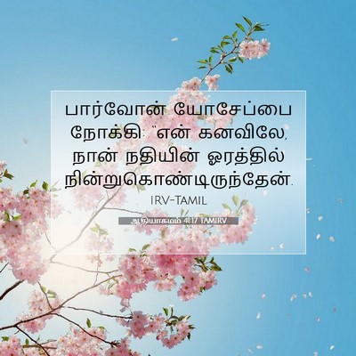 Picture 07 - ஆதியாகமம் 41:17 TAMIRV - பார்வோன் யோசேப்பை - Bible Verse Picture