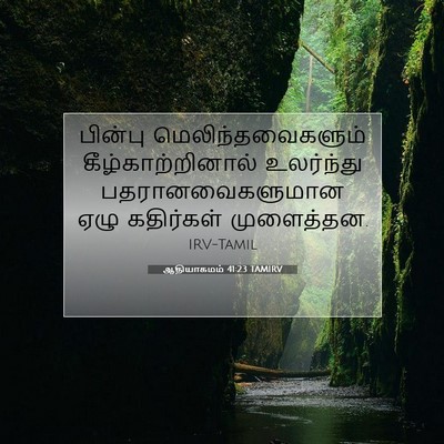 Picture 07 - ஆதியாகமம் 41:23 TAMIRV - பின்பு - Bible Verse Picture