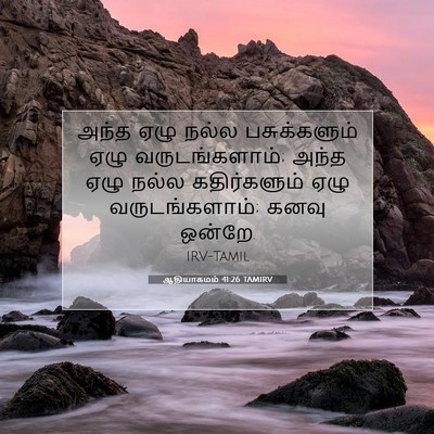 Picture 07 - ஆதியாகமம் 41:26 TAMIRV - அந்த ஏழு நல்ல - Bible Verse Picture