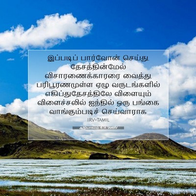 Picture 07 - ஆதியாகமம் 41:34 TAMIRV - இப்படிப் பார்வோன் - Bible Verse Picture