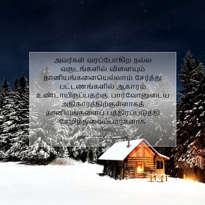 Picture 07 - ஆதியாகமம் 41:35 TAMIRV - அவர்கள் வரப்போகிற - Bible Verse Picture