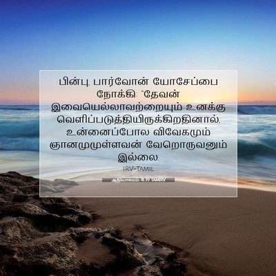 Picture 07 - ஆதியாகமம் 41:39 TAMIRV - பின்பு, பார்வோன் - Bible Verse Picture