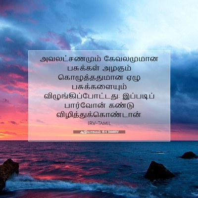 Picture 07 - ஆதியாகமம் 41:4 TAMIRV - அவலட்சணமும் - Bible Verse Picture