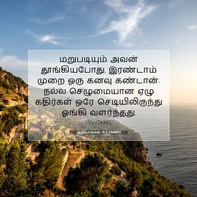 Picture 07 - ஆதியாகமம் 41:5 TAMIRV - மறுபடியும் அவன் - Bible Verse Picture