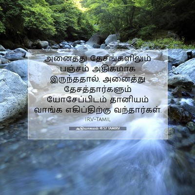 Picture 07 - ஆதியாகமம் 41:57 TAMIRV - அனைத்து - Bible Verse Picture