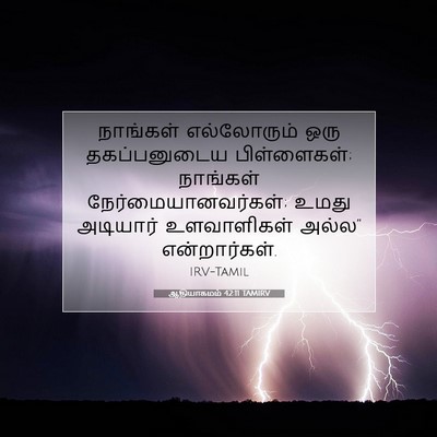 Picture 07 - ஆதியாகமம் 42:11 TAMIRV - நாங்கள் எல்லோரும் - Bible Verse Picture