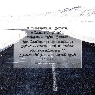 Picture 07 - ஆதியாகமம் 42:15 TAMIRV - உங்களுடைய இளைய - Bible Verse Picture