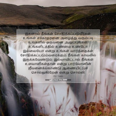 Picture 07 - ஆதியாகமம் 42:16 TAMIRV - இதனால் நீங்கள் - Bible Verse Picture