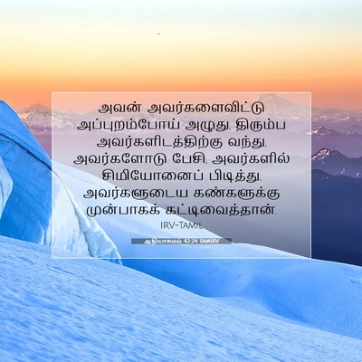 Picture 07 - ஆதியாகமம் 42:24 TAMIRV - அவன் - Bible Verse Picture
