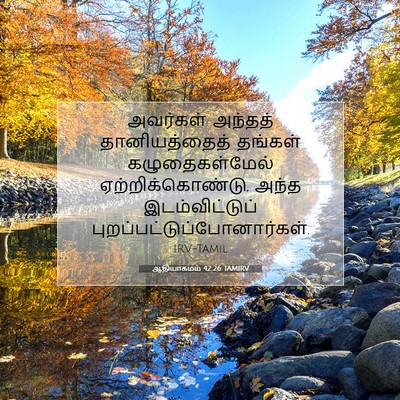Picture 07 - ஆதியாகமம் 42:26 TAMIRV - அவர்கள் அந்தத் - Bible Verse Picture