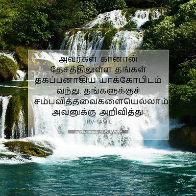 Picture 07 - ஆதியாகமம் 42:29 TAMIRV - அவர்கள் கானான் - Bible Verse Picture