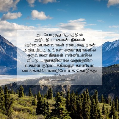 Picture 07 - ஆதியாகமம் 42:33 TAMIRV - அப்பொழுது - Bible Verse Picture