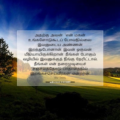 Picture 07 - ஆதியாகமம் 42:38 TAMIRV - அதற்கு அவன்: “என் - Bible Verse Picture