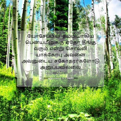 Picture 07 - ஆதியாகமம் 42:4 TAMIRV - யோசேப்பின் - Bible Verse Picture