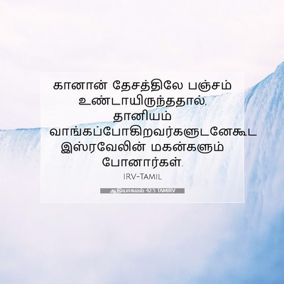 Picture 07 - ஆதியாகமம் 42:5 TAMIRV - கானான் தேசத்திலே - Bible Verse Picture