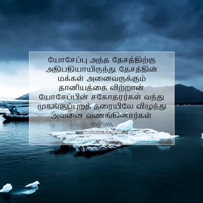 Picture 07 - ஆதியாகமம் 42:6 TAMIRV - யோசேப்பு அந்த - Bible Verse Picture