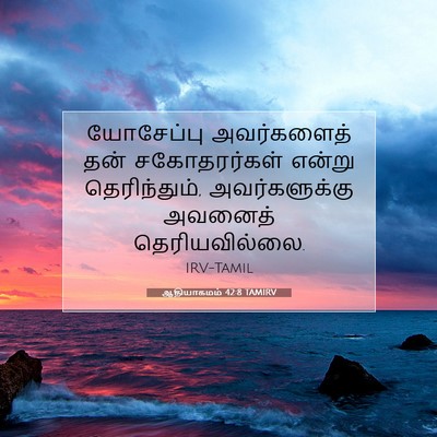 Picture 07 - ஆதியாகமம் 42:8 TAMIRV - யோசேப்பு - Bible Verse Picture