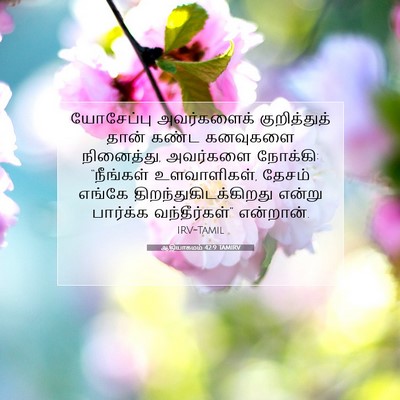 Picture 07 - ஆதியாகமம் 42:9 TAMIRV - யோசேப்பு - Bible Verse Picture