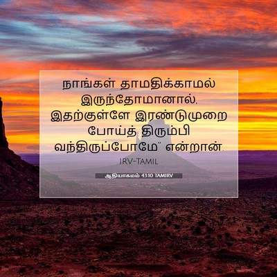 Picture 07 - ஆதியாகமம் 43:10 TAMIRV - நாங்கள் - Bible Verse Picture