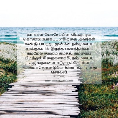 Picture 07 - ஆதியாகமம் 43:18 TAMIRV - தாங்கள் - Bible Verse Picture
