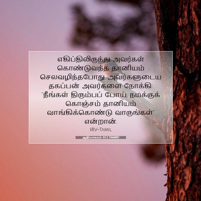 Picture 07 - ஆதியாகமம் 43:2 TAMIRV - எகிப்திலிருந்து - Bible Verse Picture