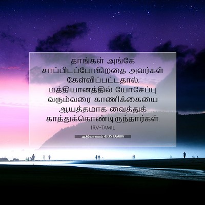 Picture 07 - ஆதியாகமம் 43:25 TAMIRV - தாங்கள் அங்கே - Bible Verse Picture