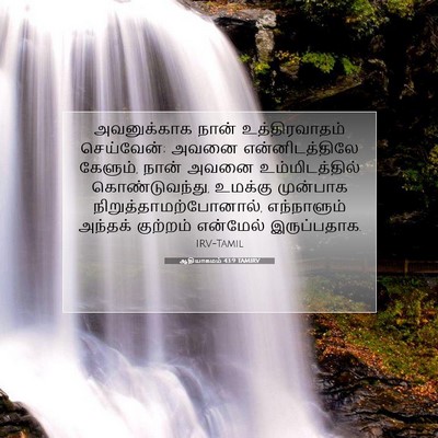 Picture 07 - ஆதியாகமம் 43:9 TAMIRV - அவனுக்காக நான் - Bible Verse Picture
