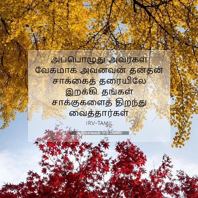 Picture 07 - ஆதியாகமம் 44:11 TAMIRV - அப்பொழுது அவர்கள் - Bible Verse Picture