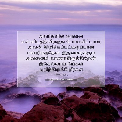 Picture 07 - ஆதியாகமம் 44:28 TAMIRV - அவர்களில் ஒருவன் - Bible Verse Picture