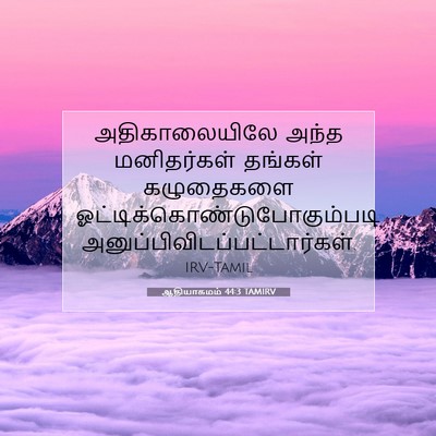Picture 07 - ஆதியாகமம் 44:3 TAMIRV - அதிகாலையிலே அந்த - Bible Verse Picture