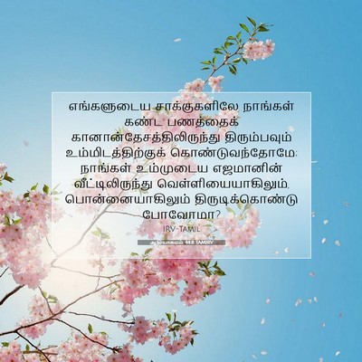 Picture 07 - ஆதியாகமம் 44:8 TAMIRV - எங்களுடைய - Bible Verse Picture