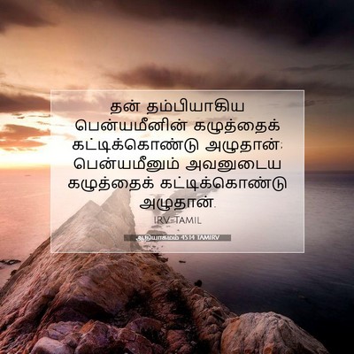 Picture 07 - ஆதியாகமம் 45:14 TAMIRV - தன் தம்பியாகிய - Bible Verse Picture