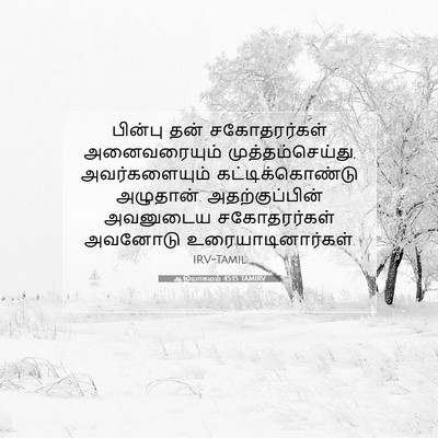 Picture 07 - ஆதியாகமம் 45:15 TAMIRV - பின்பு தன் - Bible Verse Picture