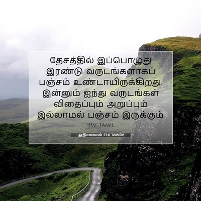 Picture 07 - ஆதியாகமம் 45:6 TAMIRV - தேசத்தில் - Bible Verse Picture