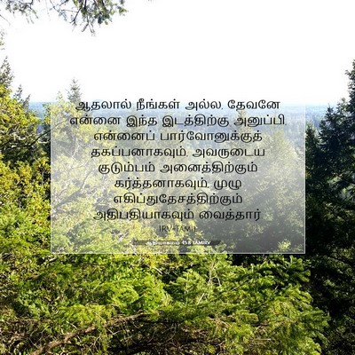 Picture 07 - ஆதியாகமம் 45:8 TAMIRV - ஆதலால் நீங்கள் - Bible Verse Picture