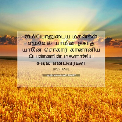 Picture 07 - ஆதியாகமம் 46:10 TAMIRV - சிமியோனுடைய - Bible Verse Picture