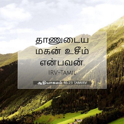 Picture 07 - ஆதியாகமம் 46:23 TAMIRV - தாணுடைய மகன் - Bible Verse Picture