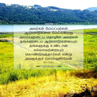 Picture 07 - ஆதியாகமம் 46:32 TAMIRV - அவர்கள் - Bible Verse Picture