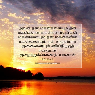 Picture 07 - ஆதியாகமம் 46:7 TAMIRV - அவன் தன் - Bible Verse Picture
