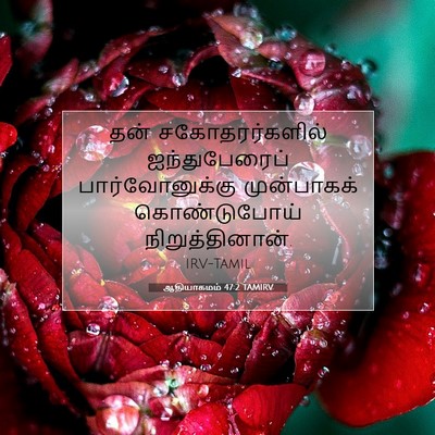 Picture 07 - ஆதியாகமம் 47:2 TAMIRV - தன் சகோதரர்களில் - Bible Verse Picture