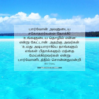 Picture 07 - ஆதியாகமம் 47:3 TAMIRV - பார்வோன் அவனுடைய - Bible Verse Picture