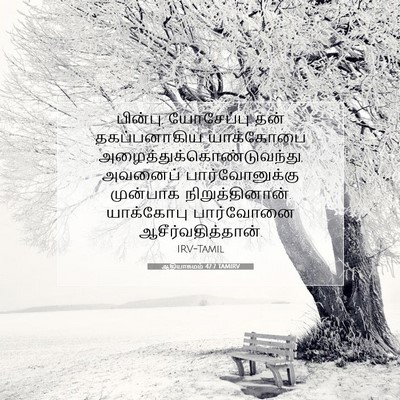 Picture 07 - ஆதியாகமம் 47:7 TAMIRV - பின்பு, யோசேப்பு - Bible Verse Picture