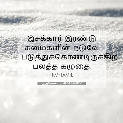 Picture 07 - ஆதியாகமம் 49:14 TAMIRV - இசக்கார் இரண்டு - Bible Verse Picture