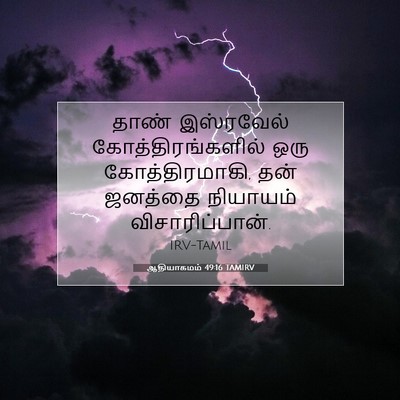 Picture 07 - ஆதியாகமம் 49:16 TAMIRV - தாண் இஸ்ரவேல் - Bible Verse Picture