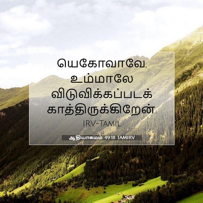 Picture 07 - ஆதியாகமம் 49:18 TAMIRV - யெகோவாவே, உம்மாலே - Bible Verse Picture