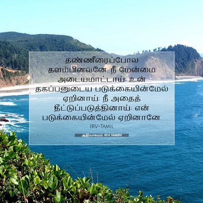 Picture 07 - ஆதியாகமம் 49:4 TAMIRV - தண்ணீரைப்போல - Bible Verse Picture