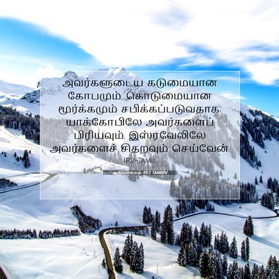 Picture 07 - ஆதியாகமம் 49:7 TAMIRV - அவர்களுடைய - Bible Verse Picture