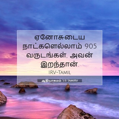 Picture 07 - ஆதியாகமம் 5:11 TAMIRV - ஏனோசுடைய - Bible Verse Picture