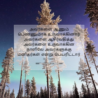 Picture 07 - ஆதியாகமம் 5:2 TAMIRV - அவர்களை ஆணும் - Bible Verse Picture