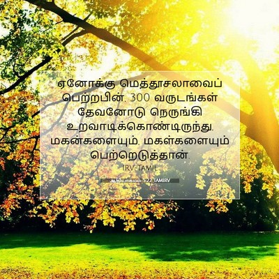 Picture 07 - ஆதியாகமம் 5:22 TAMIRV - ஏனோக்கு - Bible Verse Picture